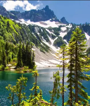 Mount Rainier National Park