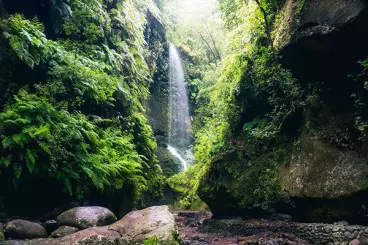 Los Tilos Biosphere Reserve