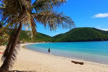 Carlisle Bay